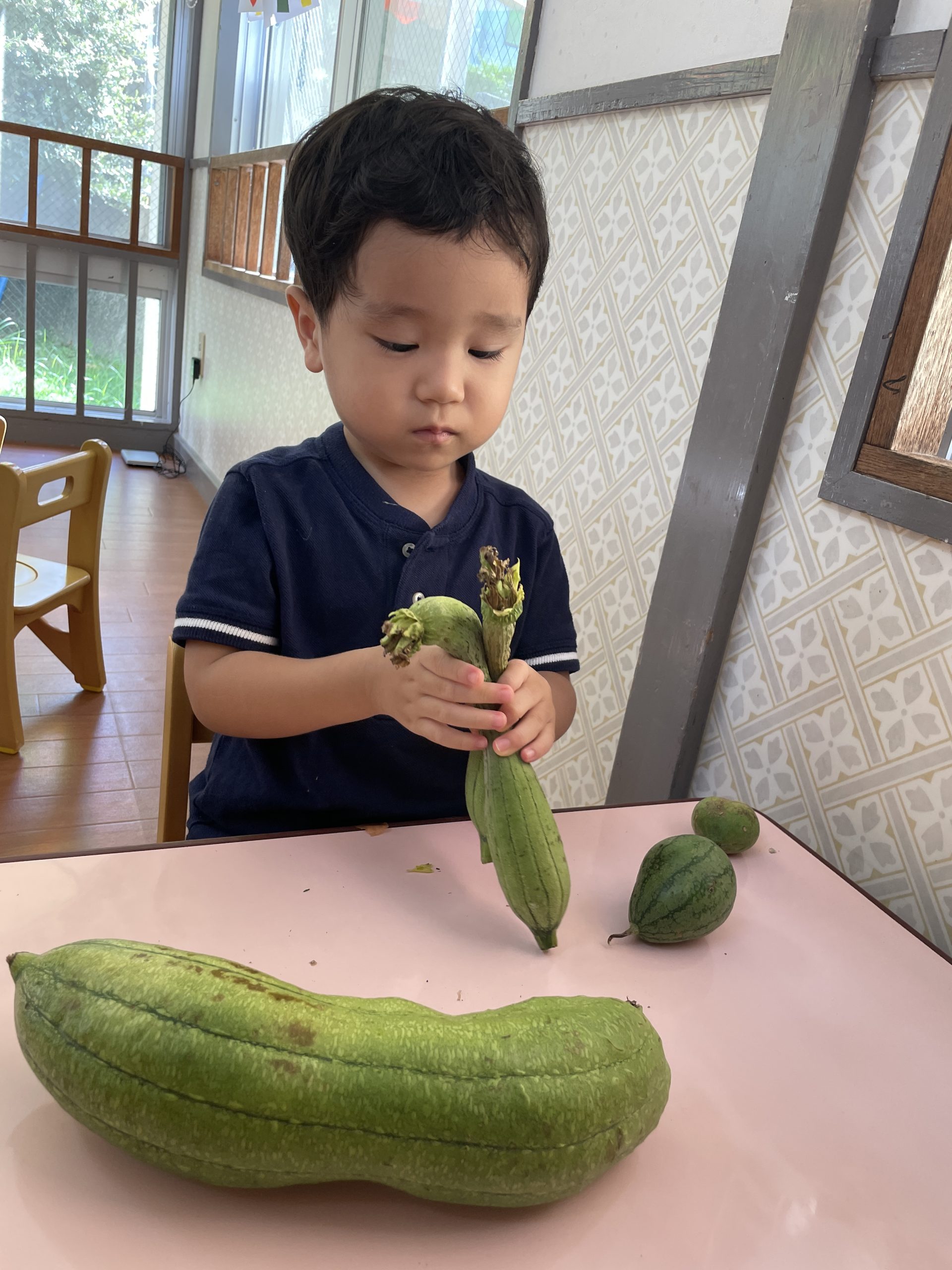 野菜の観察